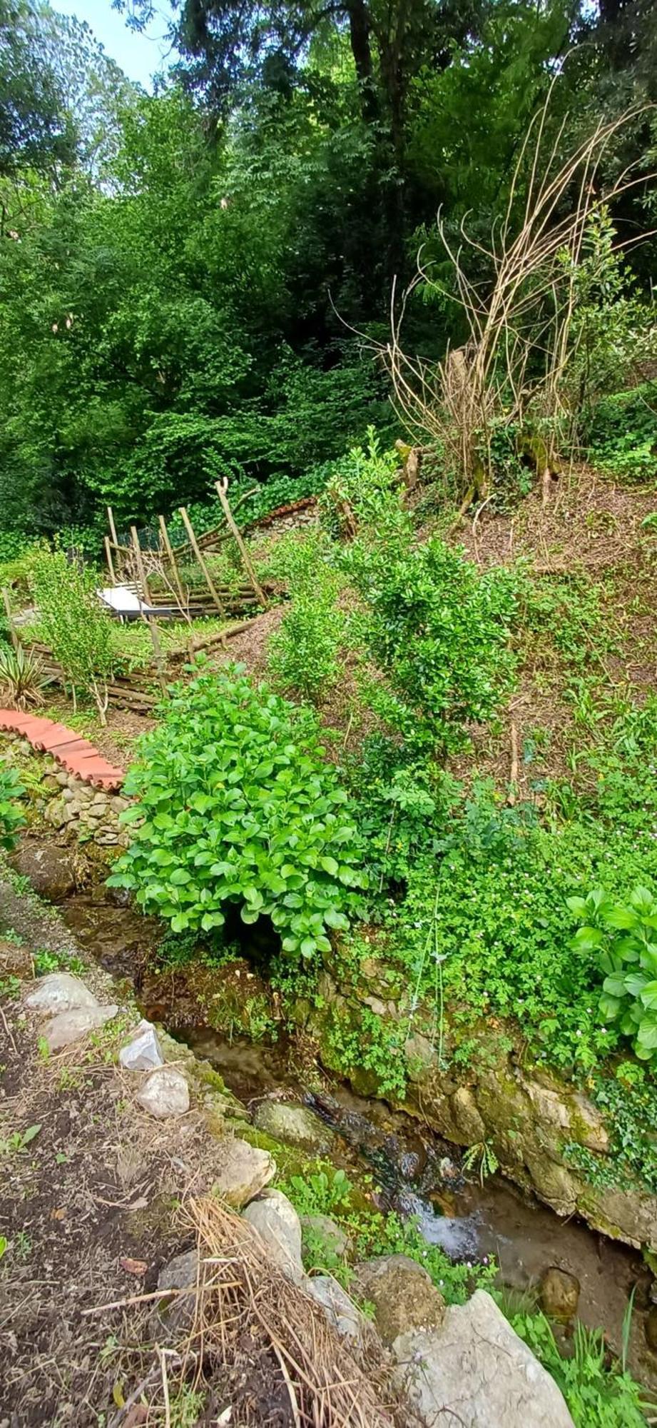 La Casetta Nel Verde Como Eksteriør billede